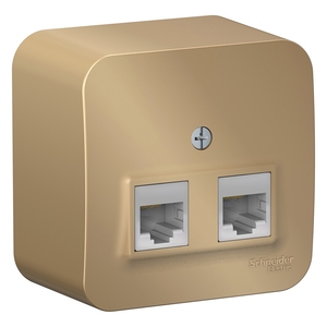 Розетка компьютерная RJ45 Cat.5e (UTP) двойная цвет титан
