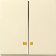 Standard 55